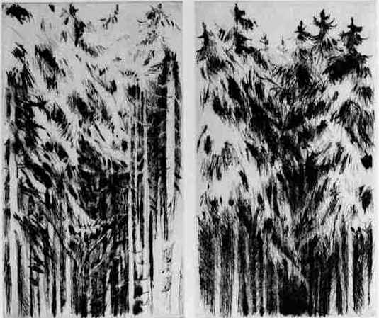 Winterwlder